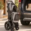 Foldable Pet Stroller in editorial scene