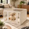 Indoor Pet Playpen — Editorial Indoor Pet Playpen in editorial scene